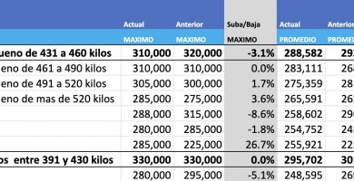 mercado agroganadero de cañuelas precios