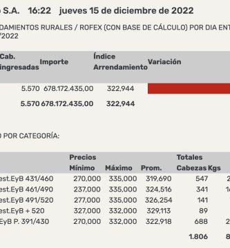 indice novillo arrendamiento diciembre 2022