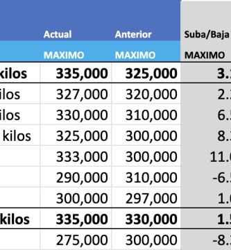indice novillo arrendamiento mag cañuelas