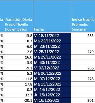 indice novillo mag mercado agroganadero de cañuelas