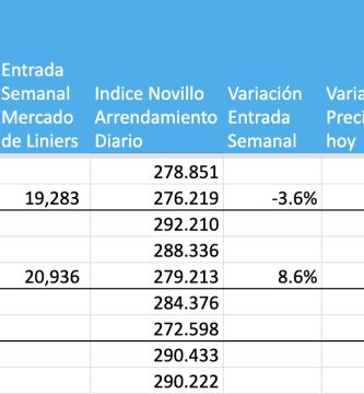 mercado agroganadero mag hoy precio novillo arrendamiento