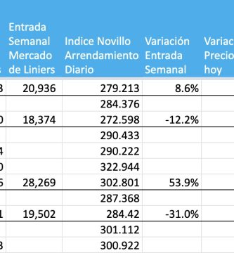 precio novillo arrendamiento
