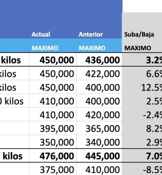 precio novillo arrendamiento