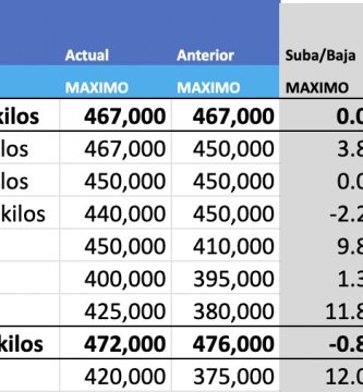 precio novillo arrendamiento liniers mag cañuelas
