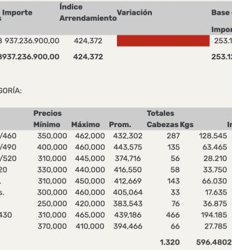 indice novillo arrendamiento