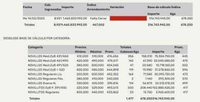precio novillo arrendamiento