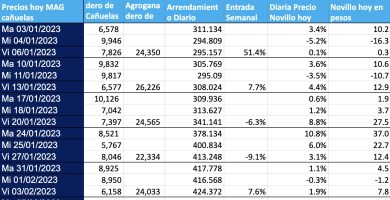 precio novillo arrendamiento febrero 2023