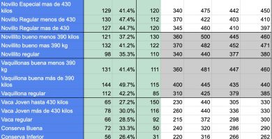 precios mag cañuelas hoy