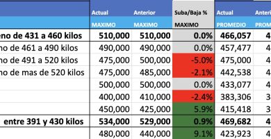 precios novillo indice arrendamiento hoy