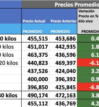 indice novillo arrendamiento