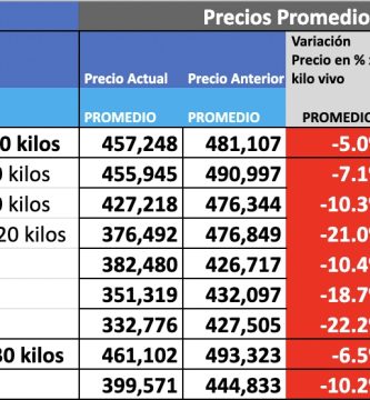precio novillo arrendamiento mag cañuelas hoy