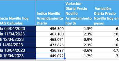 indice novillo arrendamiento