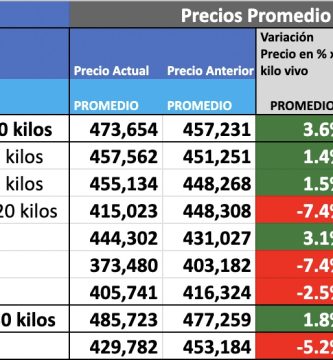 precio del novillo arrendamiento