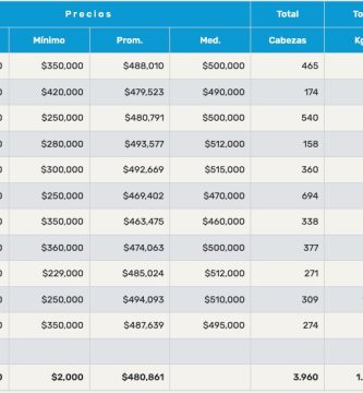 Precio Novillo Arrendamiento 401 a 420 kg
