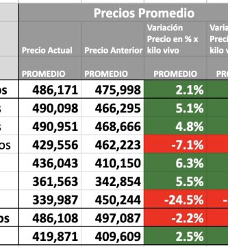 precio novillo arrendamiento mag