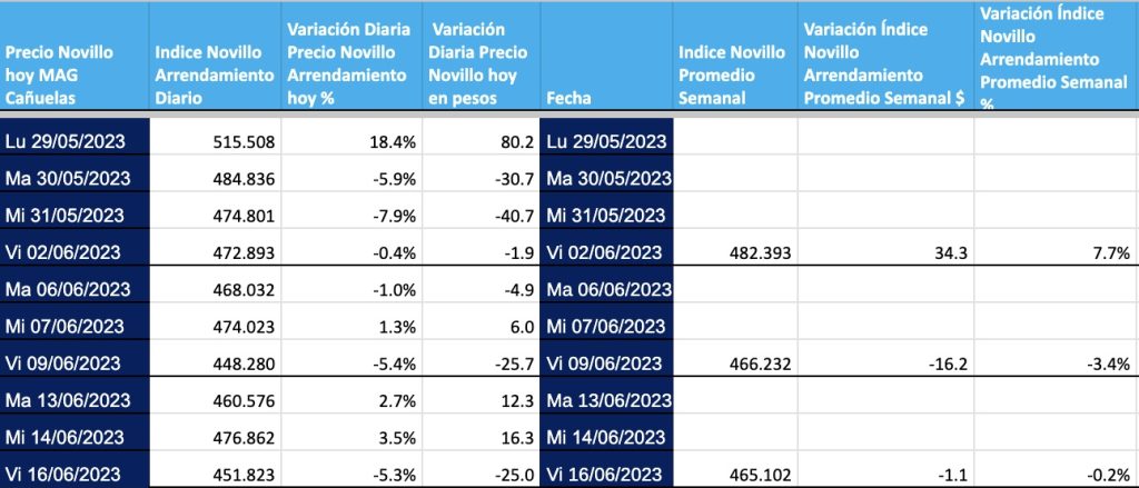 precio novillo arrendamiento