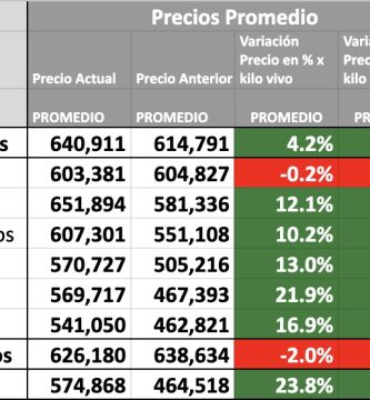 indice novillo arrendamiento agosto 2023
