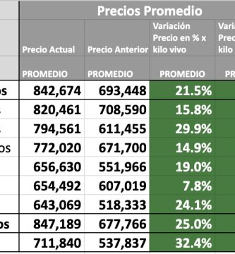 precio novillo arrendamiento