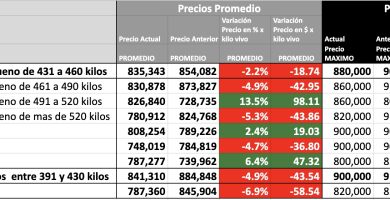 precio novillo mag cañuelas hoy