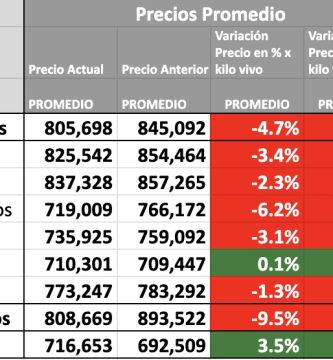 precio novillo mercado agroganadero cañuelas