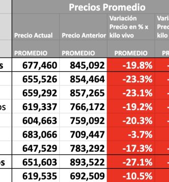 indice novillo arrendamiento