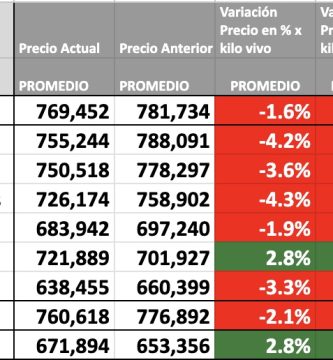 precio del novllo mag