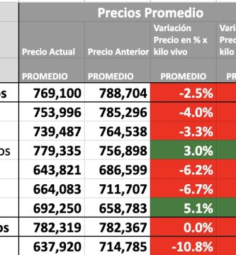 precio novillo mag