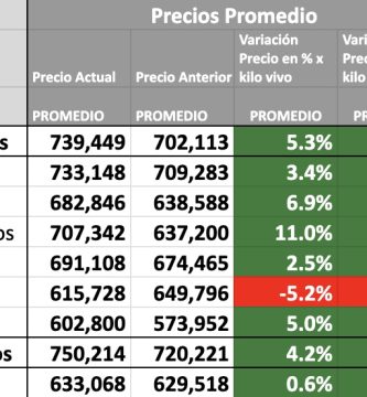 precio novillo arrendamiento