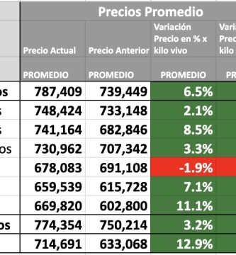 precios novillo arrendamiento
