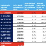 precio novillo arrendamiento mag cañuelas