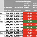 precios hacienda mag cañuelas hoy