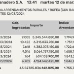 indice novillo arrendamiento