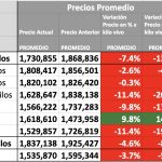 indice novillo arrendamiento hoy